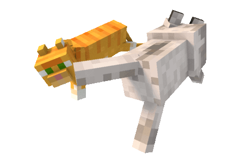 Ender Dragon animado